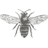 logo of Pure Honey