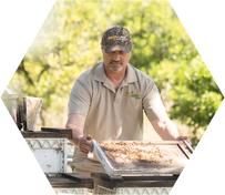 Henry Harlan beekeeper